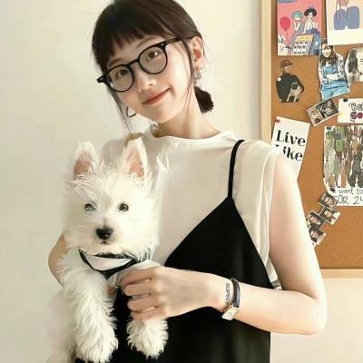绝代双骄动画版 在线观看封面